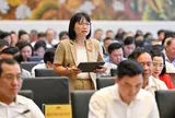 Ngừng cung cấp điện, nước, internet, viễn thông trong cưỡng chế vi phạm hành chính: Phải có quy định bảo vệ người thứ ba không vi phạm