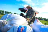Từ 1/10, nhiều loại gạo được xuất khẩu mà không cần giấy chứng nhận đủ điều kiện kinh doanh