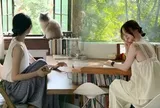 Cầm 3,1 tỷ đồng trả trước 10 năm tiền thuê nhà: Người trẻ ngày càng "enjoy" việc ở thuê?