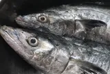 Không phải cá hồi, chuyên gia Mỹ đánh giá cao loại cá này: Việt Nam bán đầy ở chợ