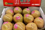 Trung Quốc được mùa với loại quả Việt Nam đang trồng rất nhiều: Châu Âu liên tục chốt đơn, diện tích trồng hơn 100.000 ha