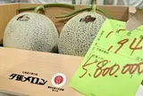Dưa lưới gần 1 tỷ đồng/cặp có gì đặc biệt?