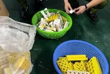 Hơn 1,2 triệu viên sủi chứa chất bảo quản vượt ngưỡng 33 lần: Nguy cơ với sức khỏe ra sao?