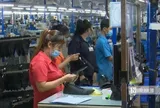 1,6 triệu thanh niên Việt Nam rơi vào nhóm "3 không" trong quý III/2026
