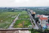Quy định thế nào là đất bỏ hoang, bị đánh thuế?
