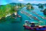 Việt Nam có làng chài lâu hơn kim tự tháp Ai Cập hơn 2.000 năm: Đào lên được 88 đầu cá biển, giờ vẫn 300 hộ sống trên mặt nước