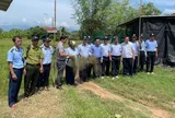 Tăng cường kiểm tra, kiên quyết xử lý bẫy bắt chim yến tại Ninh Hoà