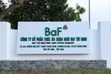 BAF huy động gần 688 tỷ đồng, phần lớn phục vụ vốn lưu động và trả công nợ