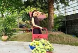 Thủ khoa Nhạc viện thành công nhất Việt Nam: 5 phút bán hết 10.000 vé, gia tài 30 năm nhiều không đếm xuể