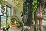 Ông bà nói: Đừng mang cây dữ vào nhà, cây càng thịnh thì người càng suy - Sự thật là gì?