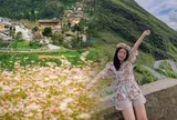 Chỉ còn 9 ngày nữa, 240ha hoa tam giác mạch đẹp nhất Việt Nam chính thức mở cửa, có nơi người dân được ngắm miễn phí