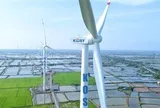KOS giảm sàn 19 phiên, cổ phiếu của 2 doanh nghiệp liên quan đến lãnh đạo bị bán giải chấp