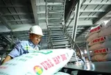 Đề xuất giảm thuế xuất khẩu phân bón từ 5% xuống 0%