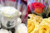 Quà 20/10 độc lạ: Hoa hồng in hình phụ nữ mặc áo dài, cốc giữ nhiệt khắc tên