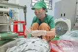 Đánh thức vùng gò đồi, cho doanh thu 10 tỷ mỗi năm nhờ trồng cây dược liệu