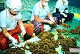 Bất ngờ về làng nghề chế biến con "đặc sản" thu về hàng trăm tỷ đồng mỗi năm
