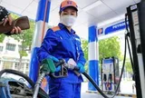 Thủ tướng yêu cầu khắc phục triệt để tình trạng mua bán xăng dầu lòng vòng