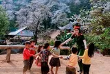 Phát hiện bản làng giữa hơn 1.200 cây cổ thụ ở Việt Nam, đến mùa hoa cả sườn núi phủ trắng như tuyết