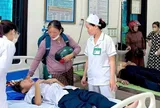 Học sinh ném đá vào tổ ong trong sân trường, 27 em phải nhập viện