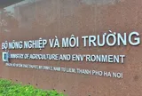 Phát hiện nhiều vi phạm tại các hồ sơ cấp phép khoáng sản của Bộ NN&MT