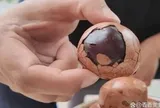 Tiệm trứng kho đắt khách tới mức chủ quán phải dậy từ 3 giờ sáng rồi xin khách bớt đến: Mặt trái của cơn sốt "xếp hàng" thời video ngắn