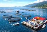 Việt Nam hạ thủy "cỗ máy in tiền" 67 tỷ đồng xuống đặc khu Cô Tô, mở lối săn kho báu 670.000 tấn/năm