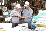 Lợi nhuận thụt lùi, thu nhập nhiều lãnh đạo Phân bón Bình Điền vẫn tăng gấp đôi
