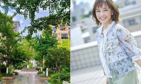 48 tuổi, tôi rời căn hộ cao tầng để sống ở khu chung cư cũ - và bất ngờ tìm lại hạnh phúc thật sự