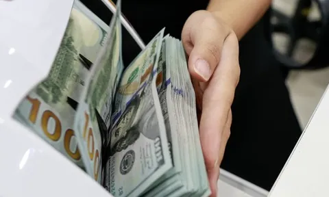 Ngân hàng Nhà nước: Có đối tượng mua ngoại tệ tiền mặt để trục lợi