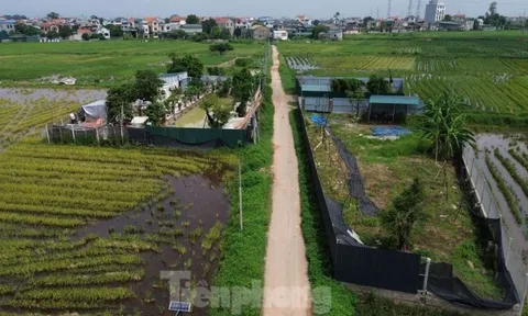 Hà Nội đề xuất tăng giá đất cao nhất 26%: Bảng giá đất mới cần ở mức trung lập