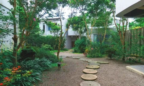 Một doanh nhân chi 10 tỷ để xây biệt thự 300m2, đủ cho cả 3 thế hệ cùng chung sống: "Thiết kế như này ai mà không thích?