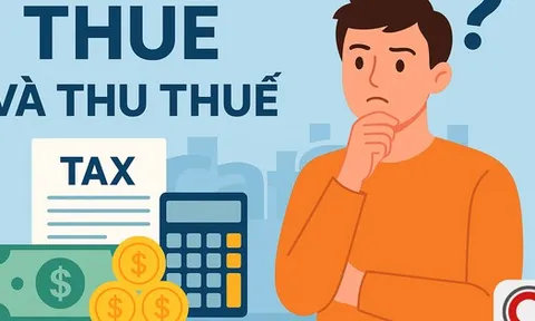 Hộ kinh doanh bị truy thu hơn 1 tỷ đồng tiền thuế khi bán cơm online từ năm 2018: Đại diện Thuế Hải Phòng nói gì?