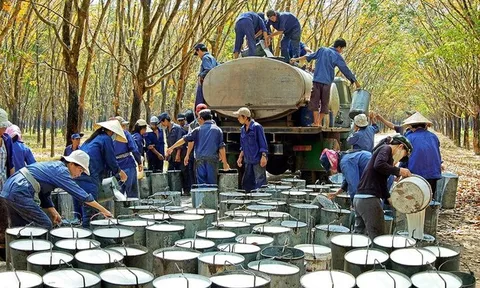 "Vàng trắng" tăng giá, đại gia trong ngành này báo lãi gấp đôi