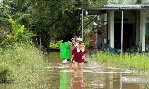 Video: Người dân Lâm Đồng lội nước để mưu sinh trong những ngày mưa, lũ