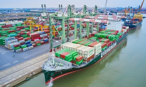 Giá cước tăng, Cảng xanh VIP báo lãi thêm trăm tỷ đồng