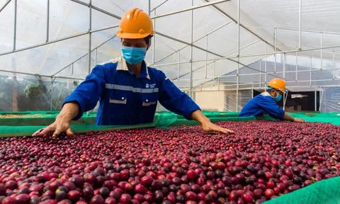 VCCI kiến nghị gỡ "hàng rào" thuế gây khó doanh nghiệp ngành nông nghiệp