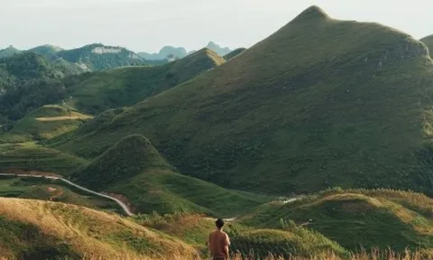 Mùa cỏ cháy phủ vàng đồi Ba Quáng giữa núi rừng Cao Bằng