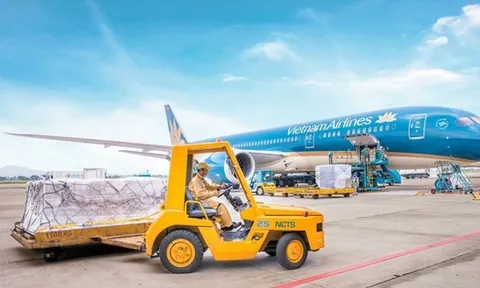 Dịch vụ Hàng hóa Nội Bài sắp chia cổ tức bằng tiền mặt tỷ lệ 80%