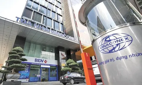 Dứt "duyên" với Cát Bà Amatina, Vinaconex lãi đậm hơn 3.300 tỷ đồng trong một quý