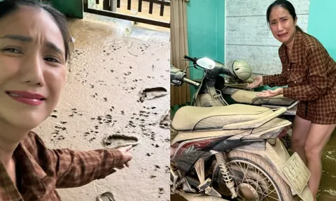 Hãi hùng cảnh tượng nhà sao Vbiz tan hoang, đầy bùn đất sau khi cơn bão 13 càn quét qua