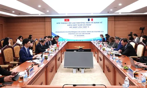 Đối thoại cấp cao thường niên về kinh tế Việt Nam - Cộng hoà Pháp