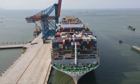 Việt Nam sẽ có bến cảng khách quốc tế, đủ khả năng tiếp nhận tàu du lịch trọng tải lớn nhất thế giới