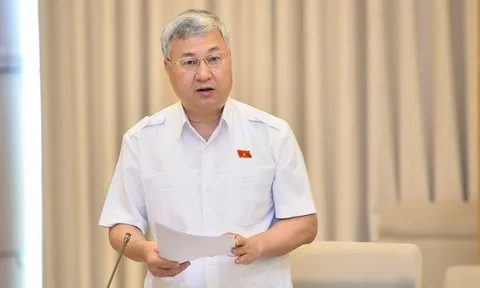 Đại biểu Quốc hội: Áp thuế 1-5% trên doanh thu là 'hết cả lãi' của hộ kinh doanh