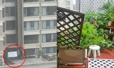 Mua nhà có sân thượng, tôi tưởng sẽ sống như quý cô - ai ngờ chỉ toàn dọn dẹp, tưới cây và lau bụi