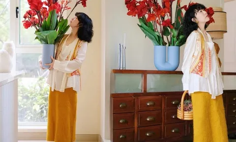 Hoa dong riềng bỗng hot: Loài hoa tưởng bị "ra rìa" nay gây sốt vì đẹp sang bất ngờ, nở rực ba mùa trong năm, trồng phát lên luôn