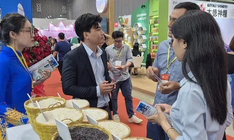 Gạo xuất khẩu Việt Nam trước thách thức mới