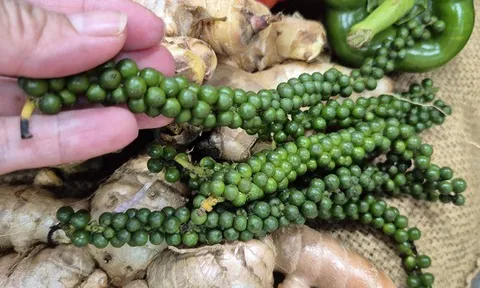 Mỹ chính thức miễn thuế đối ứng với cà phê, tiêu