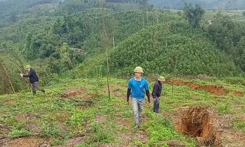 Hà Tĩnh: Sơ tán khẩn cấp các hộ dân khi xuất hiện vết nứt kéo dài trên núi