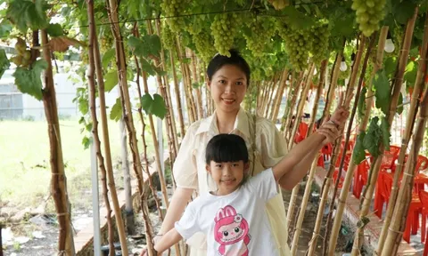 Uống cà phê xem cừu giữa vườn nho trĩu quả ở TPHCM