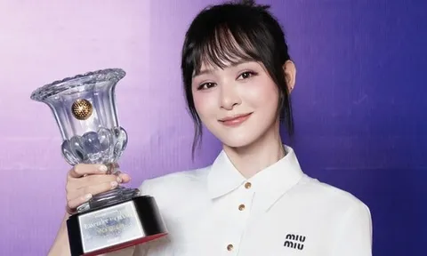 Hiền Hồ tự nhận là nạn nhân